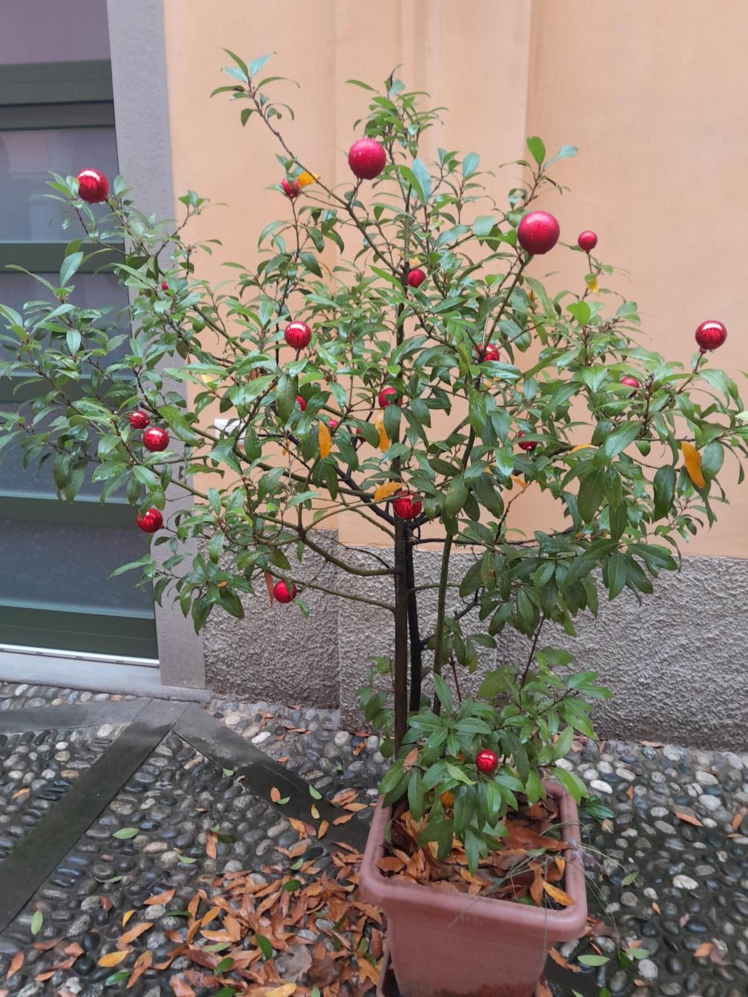 La Corte Dei Cappuccini Bergamo Luaran gambar